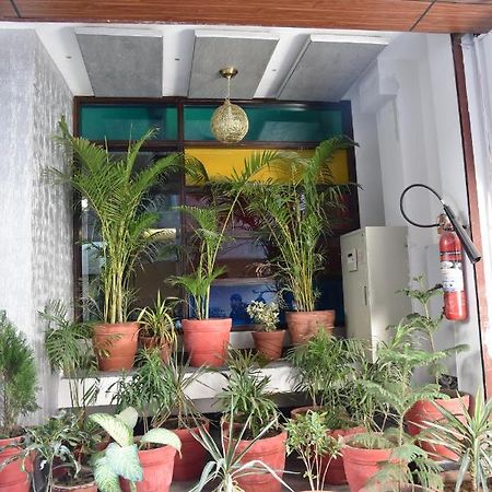 Oyo10391阳光皇家酒店 斋浦尔 外观 照片